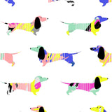 RJ Classics Brynn Jr. Kids Short Sleeve Show Shirt - SALE