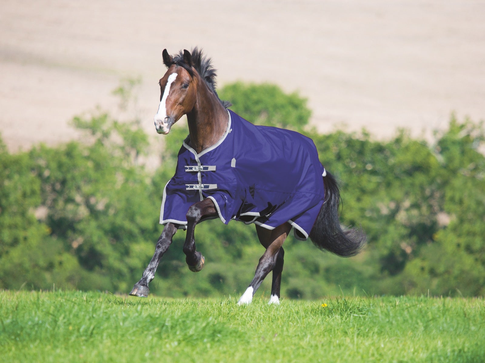 Shires Highlander Plus Lite Standard Neck Turnout (0g Lite)