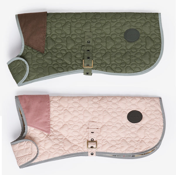 DCO0057colorsBarbourPaw-