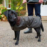 Barbour Waxed Cotton Dog Coat - Olive - North Shore Saddlery