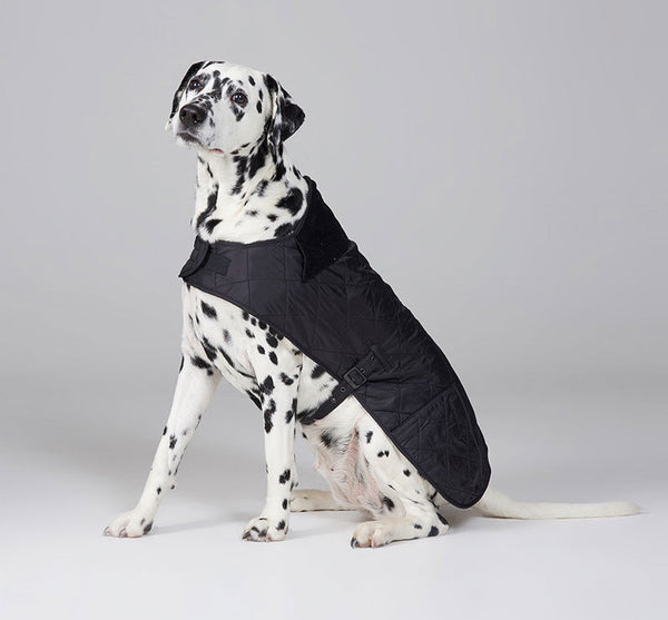 Barbour quilted dog coat black clearance