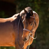 Huntley Equestrian Sedgwick Fancy Stitched Padded Leather Hunter Bridle with Reins