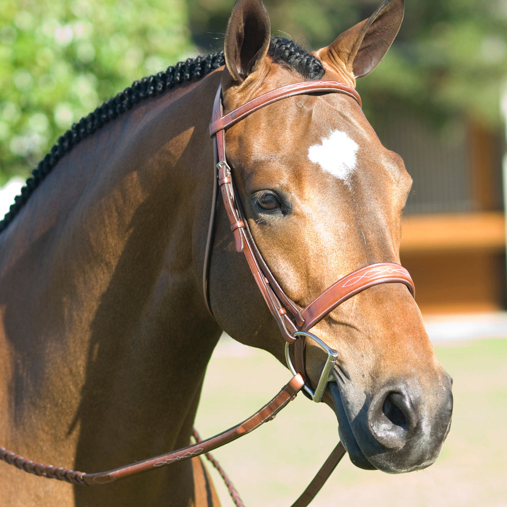 Rodrigo Fancy Stitched Wide Noseband Show Bridle