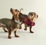 Barbour Brampton Quilted Dog Coat