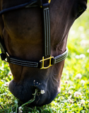 Walsh British Leather Halter