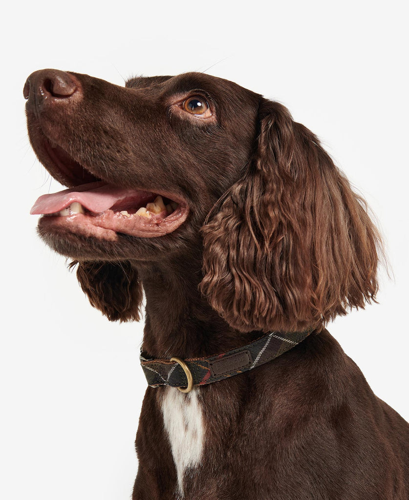 Barbour Tartan Webbing Adjustable Dog Collar