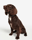 Barbour Tartan Webbing Adjustable Dog Collar