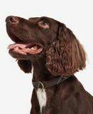 Barbour Tartan Webbing Adjustable Dog Collar