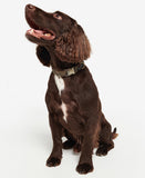 Barbour Reflective Tartan Adjustable Dog Collar