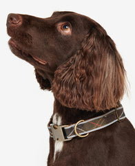 Barbour Reflective Tartan Adjustable Dog Collar