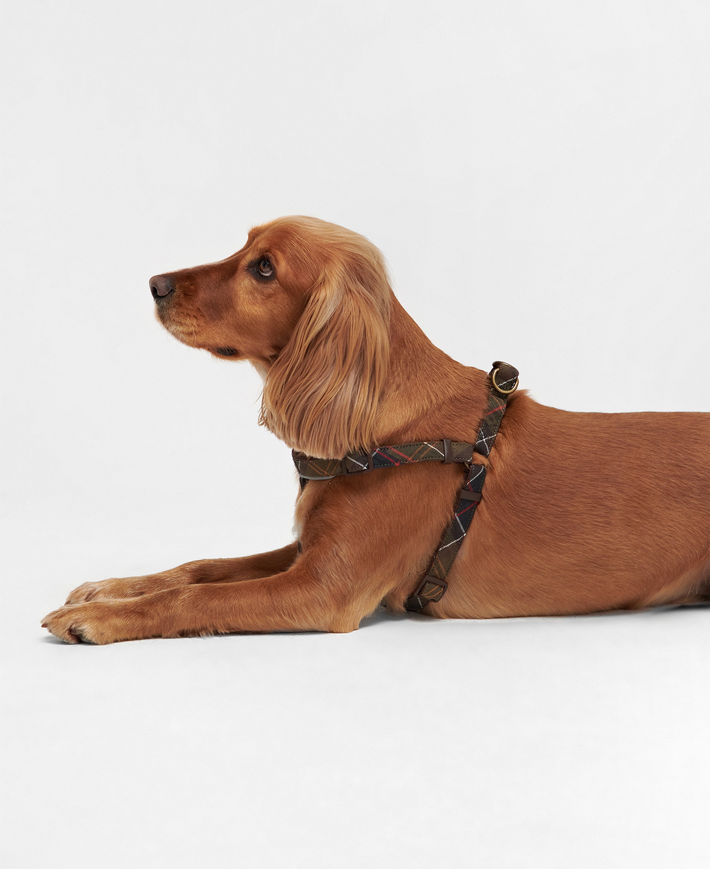 Barbour 5 Way Adjustable Dog Harness S Classic Tartan