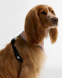 Barbour Evie Dog Harness