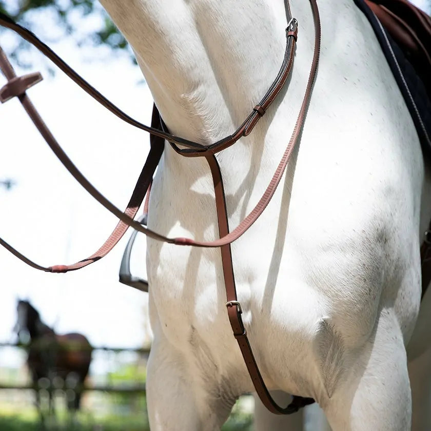 Antares Origin Standing Martingale