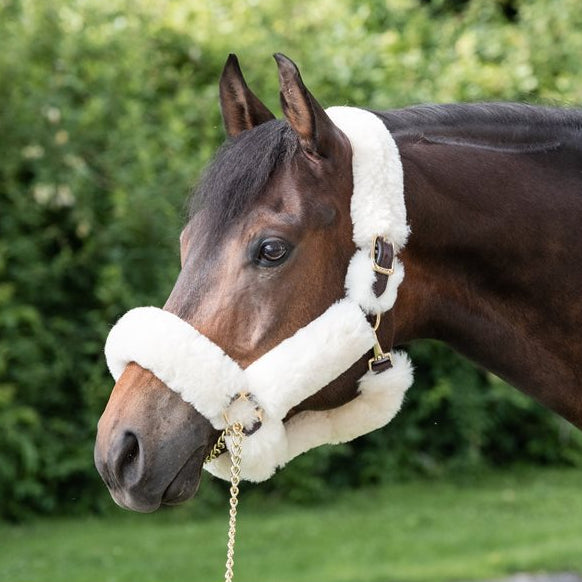 Perri’s Sheepskin Shipping Halter