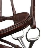 Antares Signature Sport Flash Jumping Bridle