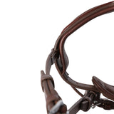 Antares Signature Sport Flash Jumping Bridle