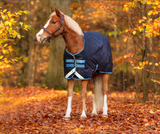 Horseware Amigo Bravo 12 Plus Pony Turnout Blanket (250g Medium) - SALE
