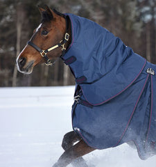 Horseware Rambo Optimo Turnout Hood (150g Light) - SALE - North Shore Saddlery