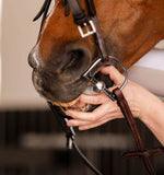 EquiFit Essential BitTape Bit Wrap