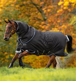 Horseware Amigo Bravo 12 Plus Turnout Blanket (250g Medium)