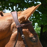 Antares Origin Hunter Bridle