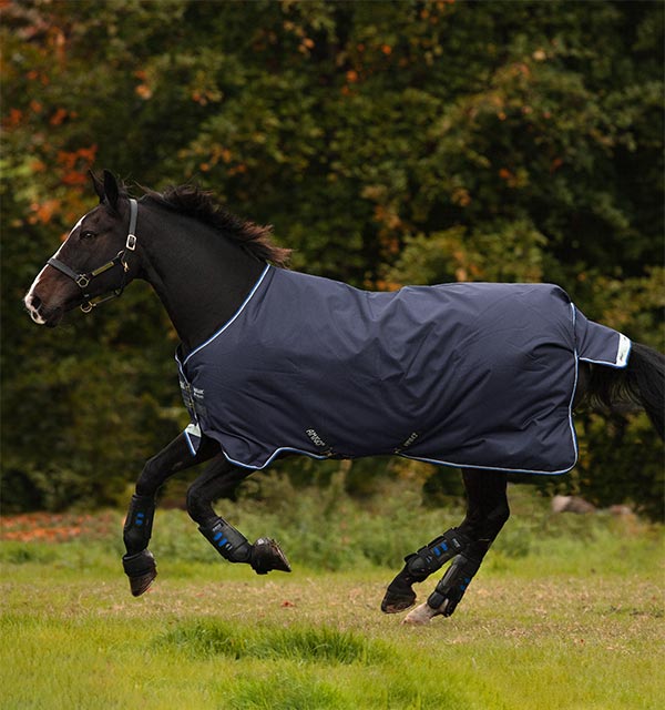 Horseware Amigo Bravo 12 (250g Medium) Turnout Blanket - North Shore Saddlery