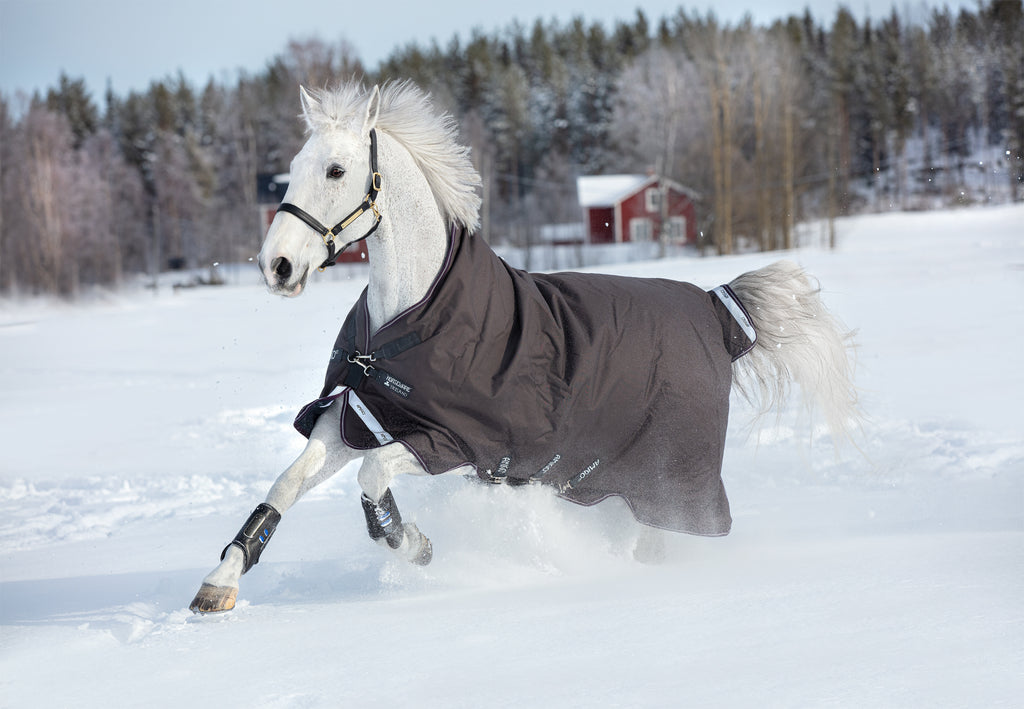 Horseware Amigo Bravo 12 Wug Turnout Blanket (250g Medium) - SALE