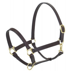 Camelot Stable Halter - North Shore Saddlery