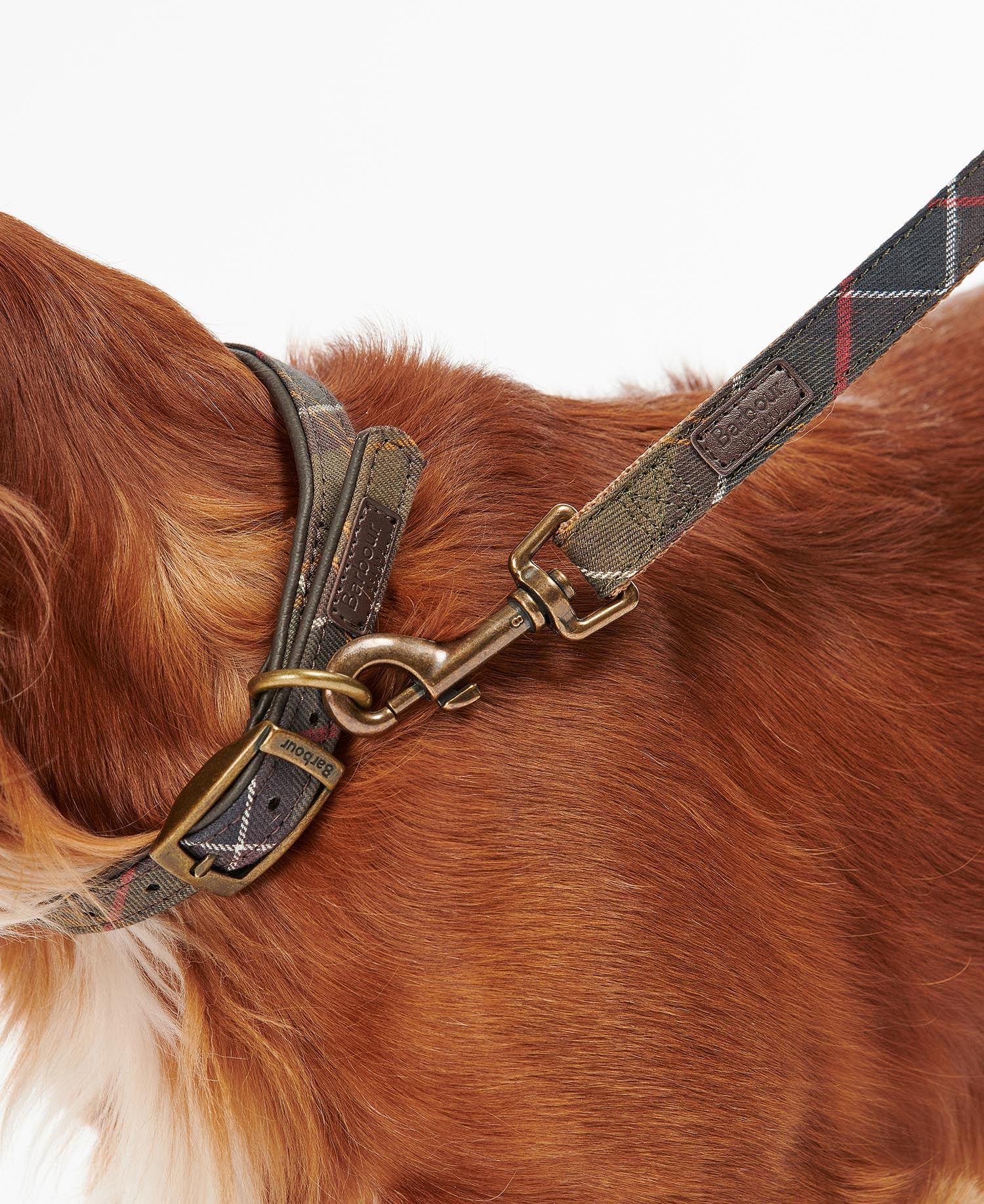Barbour Tartan Webbing Dog Leash