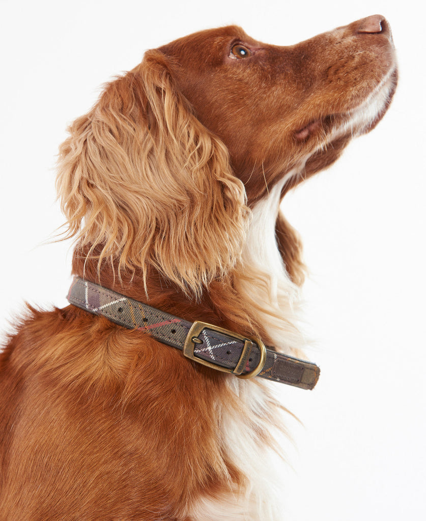 Barbour Tartan Leather Dog Collar