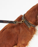 Barbour Tartan Leather Dog Leash