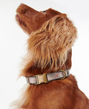Barbour Reflective Tartan Adjustable Dog Collar
