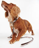 Barbour Reflective Tartan Dog Leash