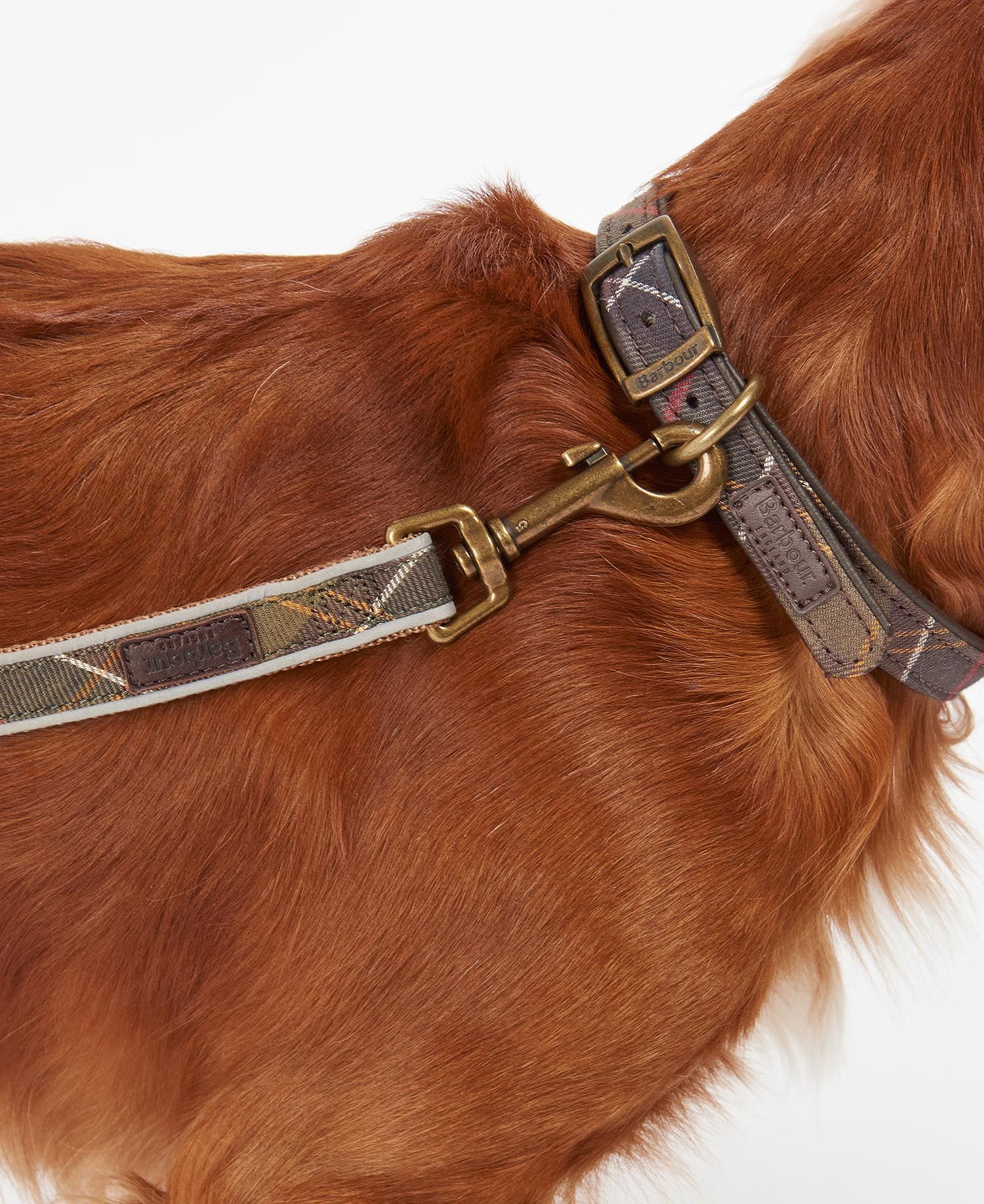 Barbour Reflective Tartan Dog Leash North Shore Saddlery