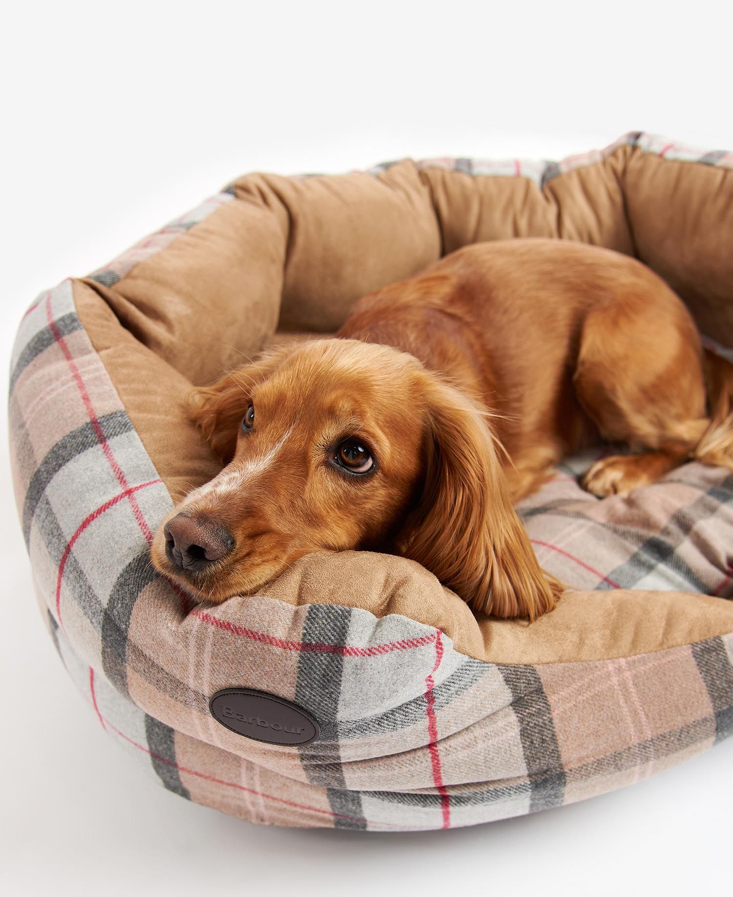 Barbour dog beds sale new arrivals