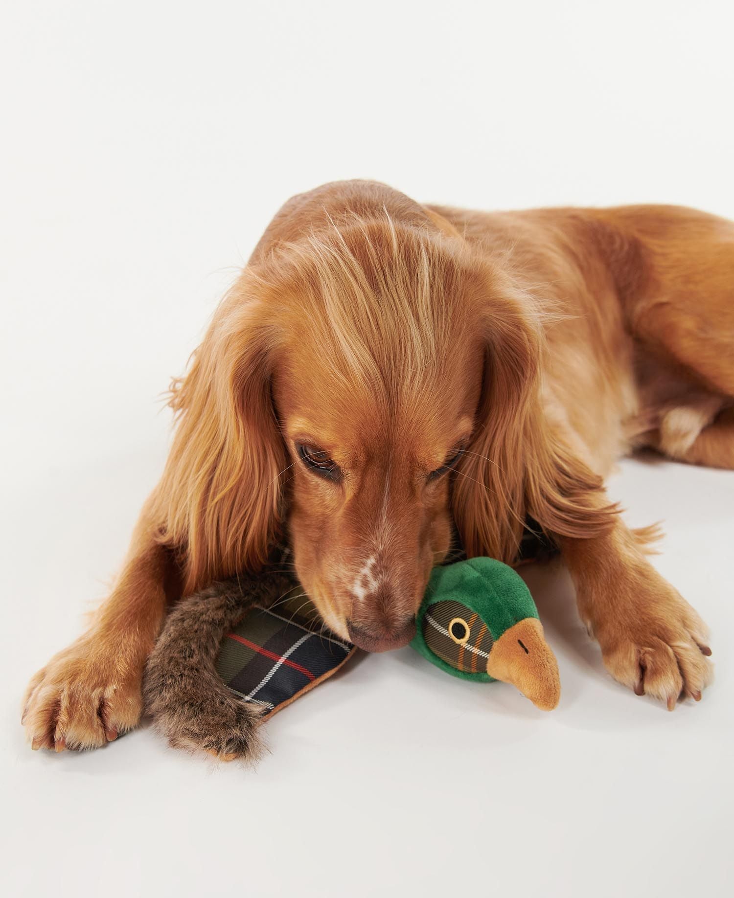 Joules pheasant cheap dog bed