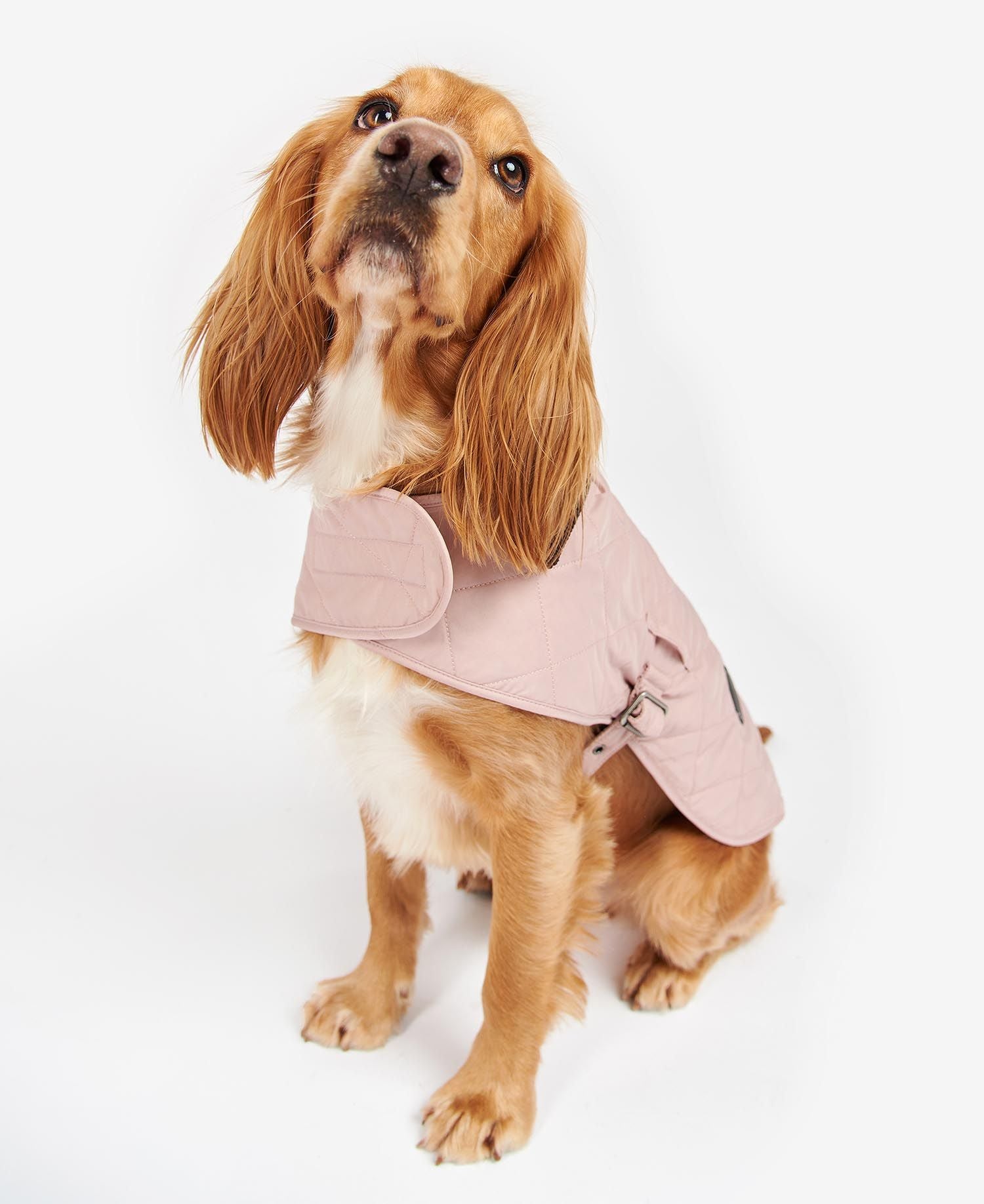 Barbour Pink Quilted Dog Coat North Shore Saddlery