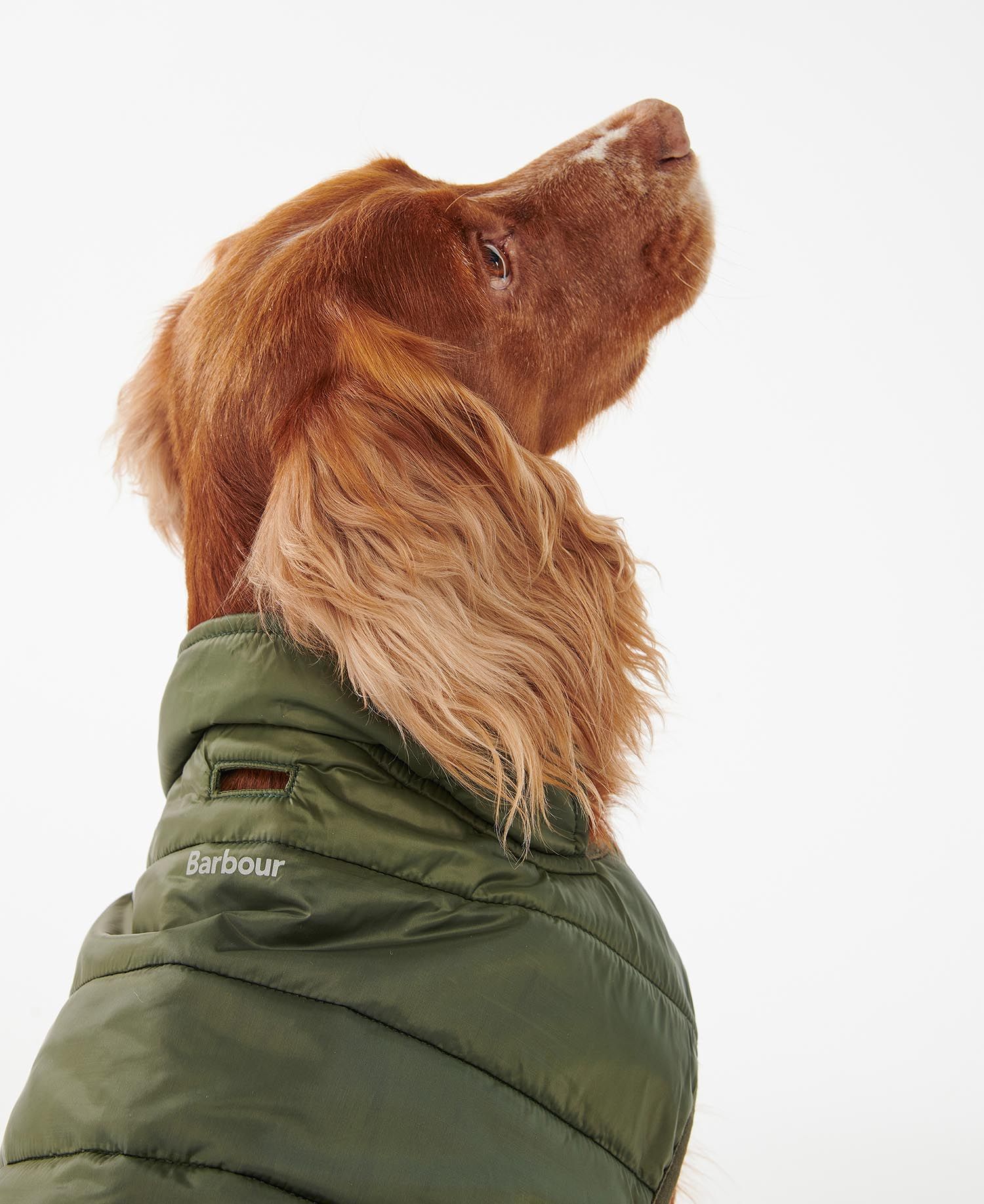 Barbour heritage darcy quilt baffle jacket online