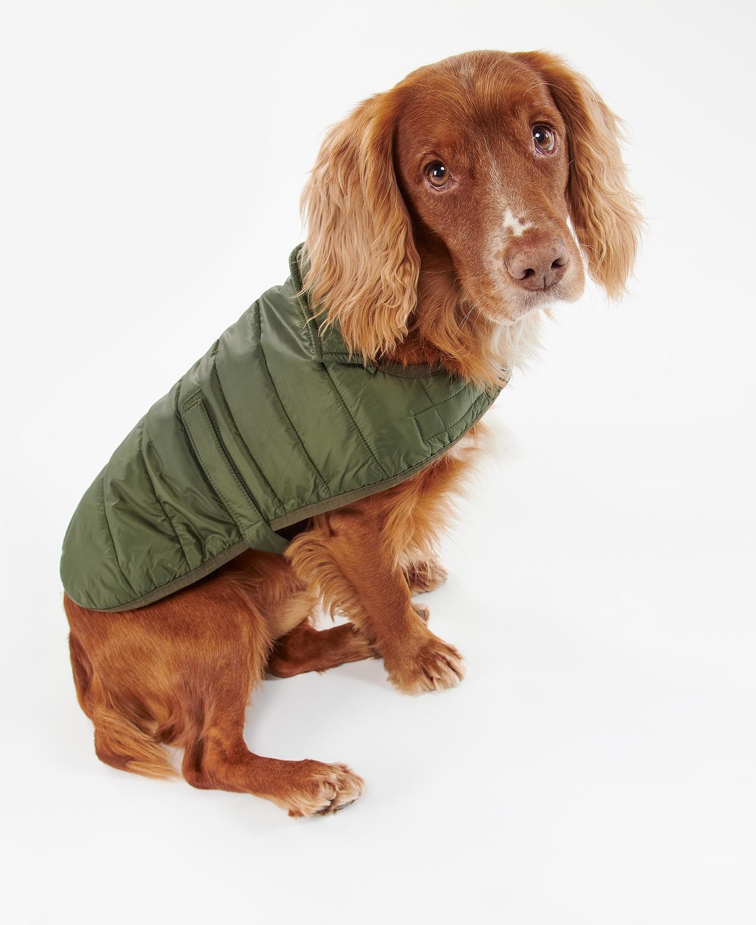 Barbour quilted hot sale dog jacket