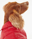 Barbour Baffle Quilt Dog Coat