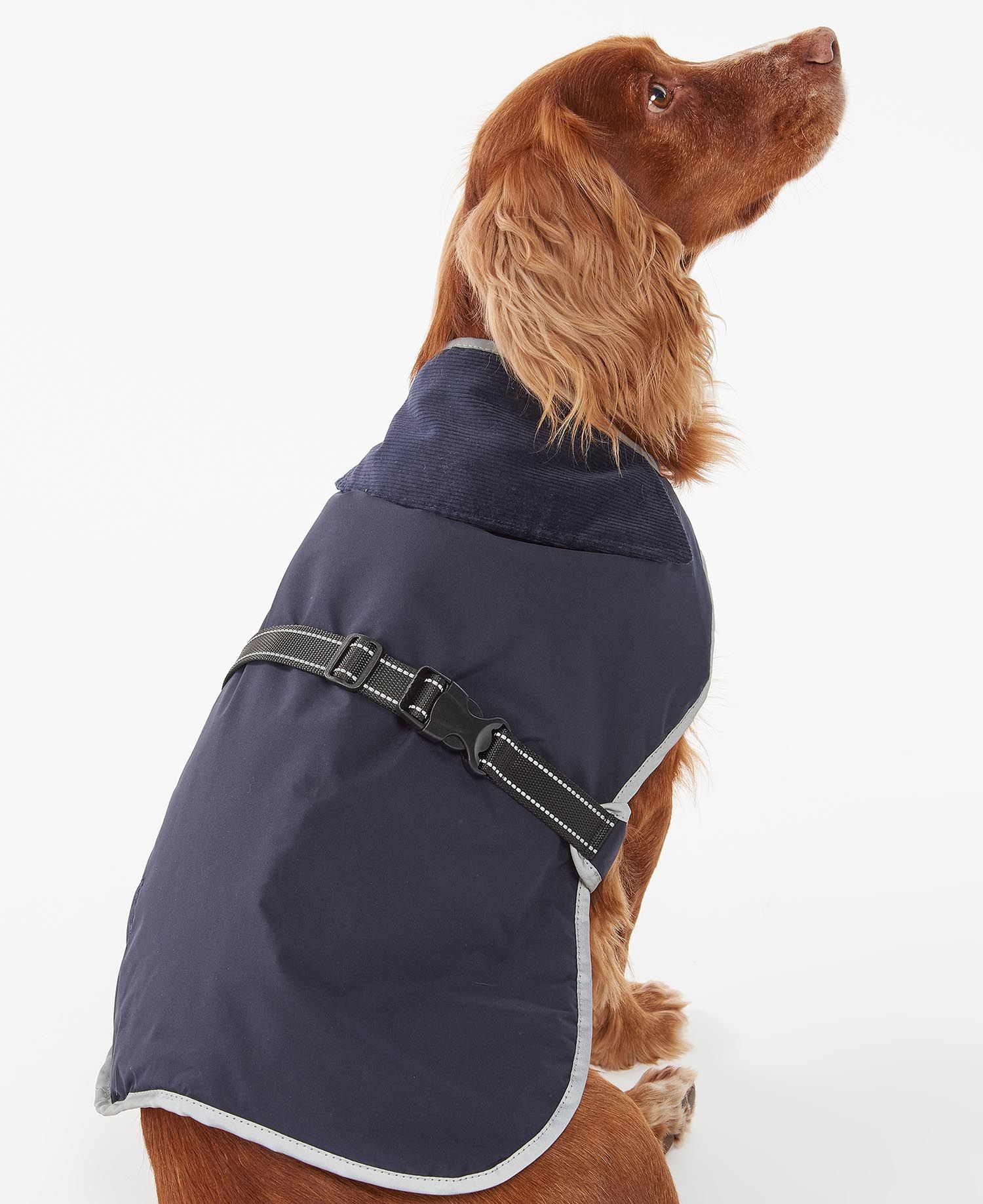 Barbour dog coat uk cheap