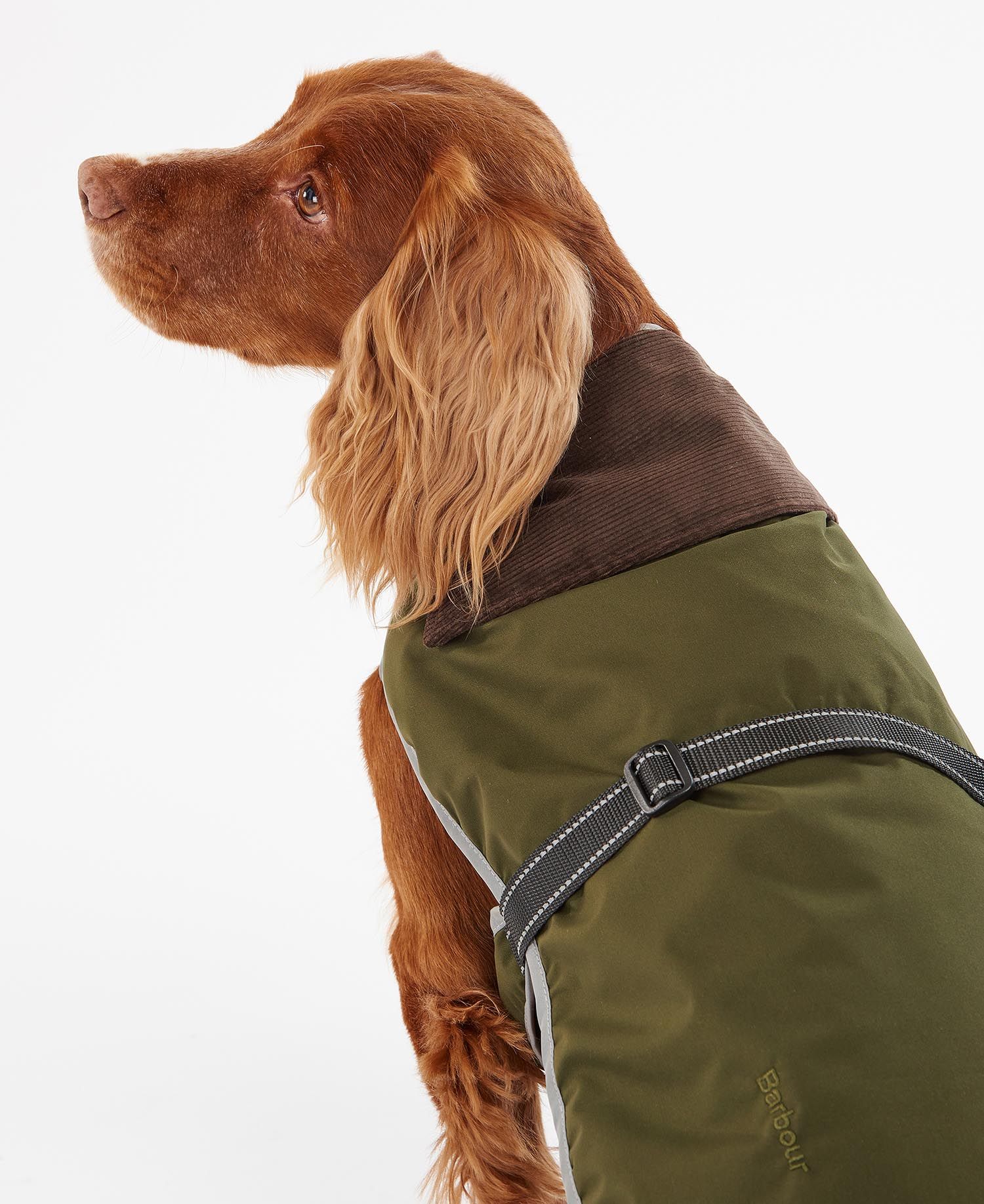 Barbour Monmouth Barbour Xl Dog Coat Barbour Monmouth Waterproof