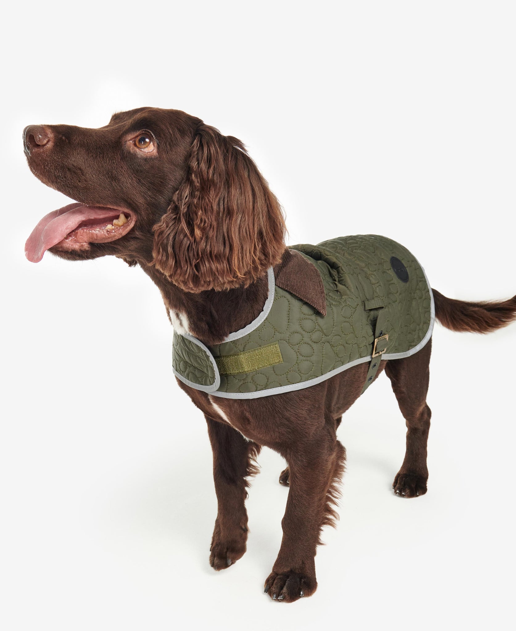 Barbour quilted girl dog coat on sale