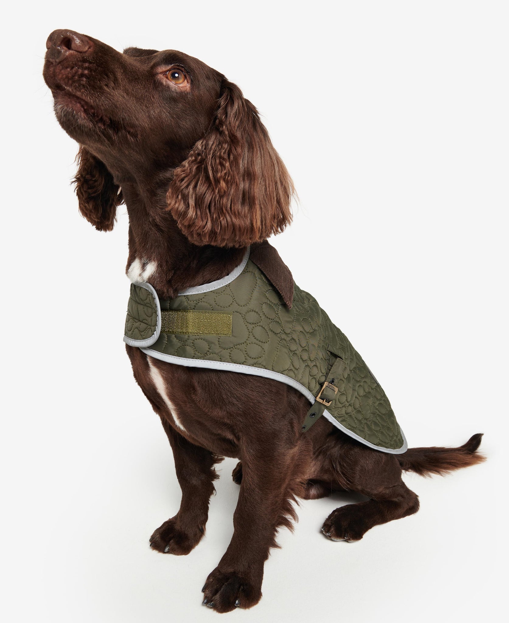 Barbour Paw-Quilted Dog Coat | North Shore Saddlery