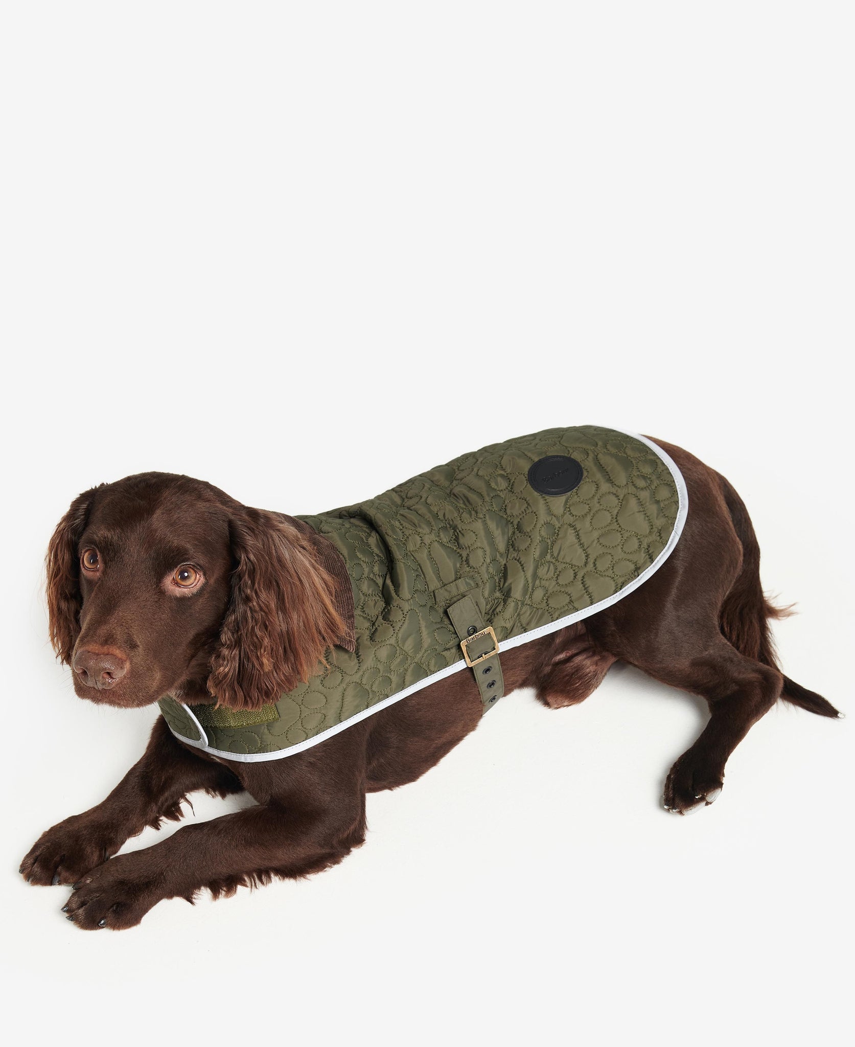 Barbour quilted girl dog coat store