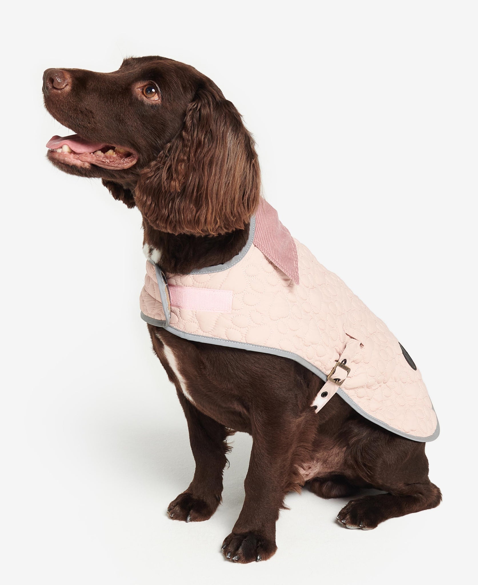 Barbour black quilted dog coat hotsell