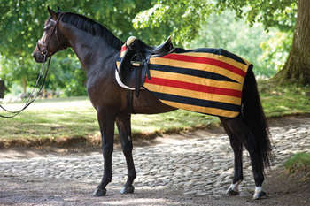 Horseware Rambo Newmarket Quarter Fleece Sheet - North Shore Saddlery