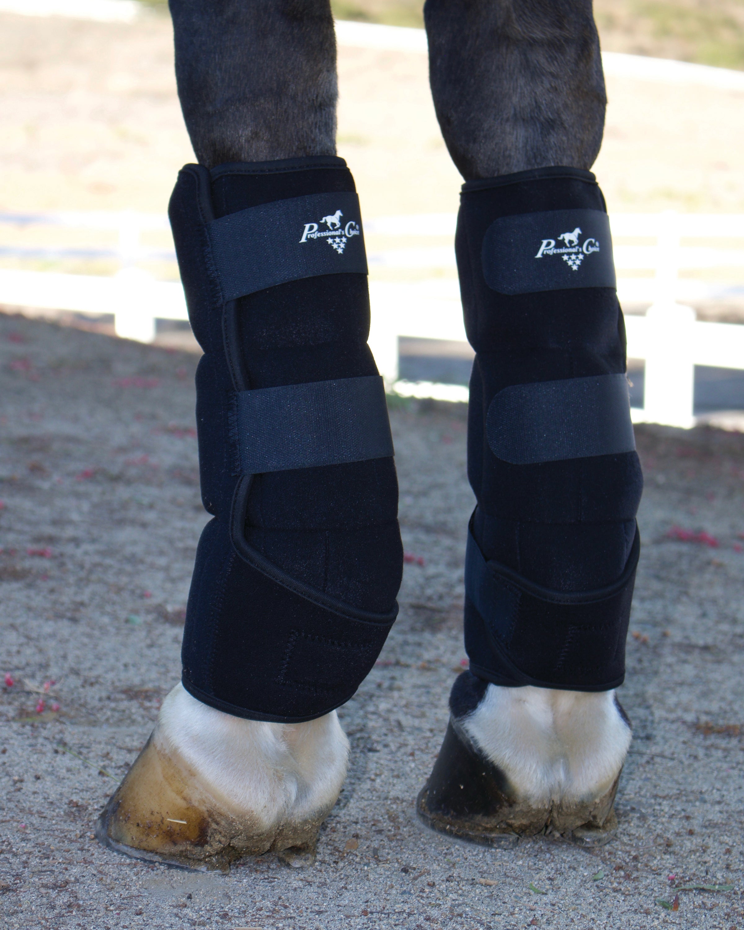 Ice Horse Tendon Boots