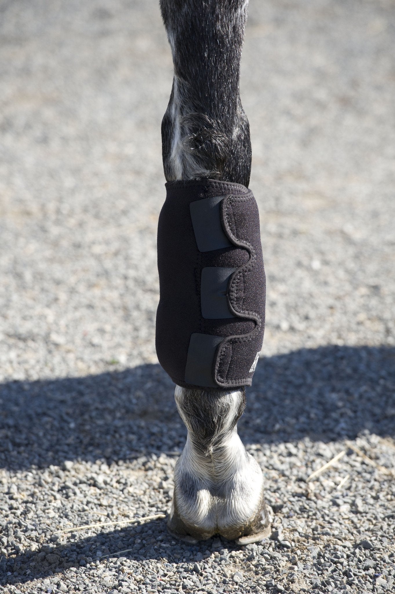 Tendon wraps sales