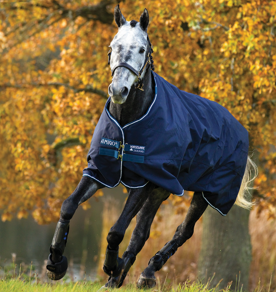 Horseware Amigo Bravo 12 Turnout Blanket (400g Heavy)